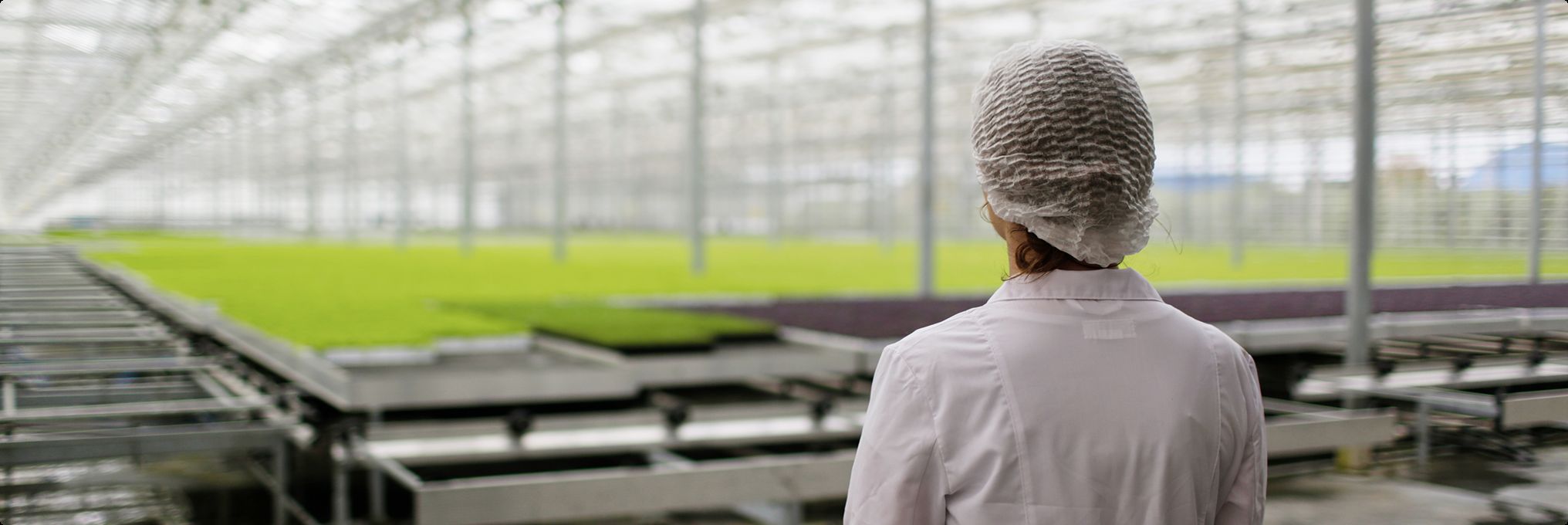 график отчёта